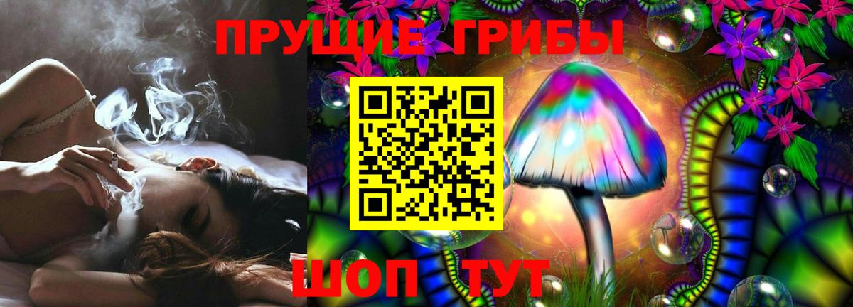 Псилоцибиновые грибы Psilocybine cubensis  Вход с VPN  Псилоцибиновые грибы Psilocybe  Нефтекумск 
